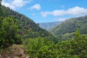 Madeira: Porto da Cruz to Machico Hiking Tour with Transfer