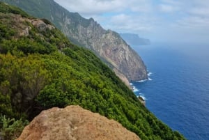 Madeira: Porto da Cruz to Machico Hiking Tour with Transfer