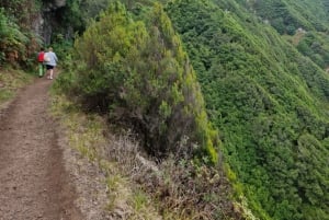 Madeira: Porto da Cruz to Machico Hiking Tour with Transfer