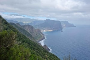 Madeira: Porto da Cruz to Machico Hiking Tour with Transfer