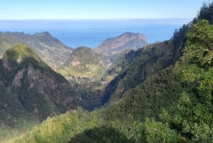 Madeira: Privat vandring på 1,5 kilometer på Levada dos Balcões PR11