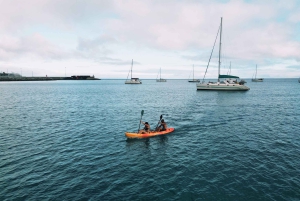 Prywatna wycieczka katamaranem po Maderze w Ponta de Sao Lourenço