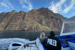 Madeira: crociera privata - Brunch a Calheta o Funchal