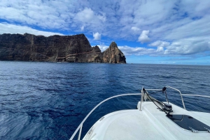 Madeira: crociera privata - Brunch a Calheta o Funchal