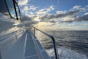 Madeira: crociera privata - Brunch a Calheta o Funchal