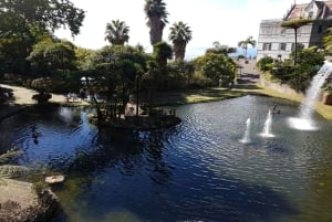 Madeira: excursão guiada privada de meio dia aos jardins