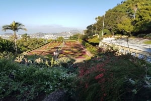 Madeira: Private Half-Day Guided Gardens Tour