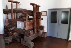 Madeira: Yksityinen puolen päivän viininmaistelukierros