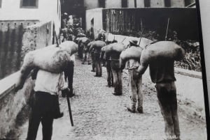 Madeira: Prova Privada de Vinhos de Fim de Semana em São Vicente