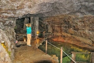 Madeira: Privat vinupplevelse med 4WD