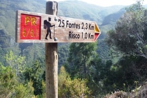 Madeira: Rabaçal, Risco and 25 Fontes Guided Hiking Tour