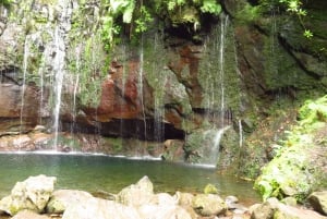 Madeira: Rabaçal, Risco and 25 Fontes Guided Hiking Tour