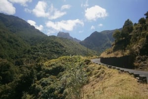 Madeira: Santana 6-tuntinen kokopäiväretki