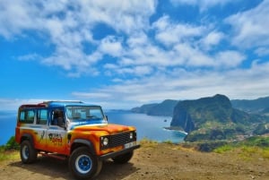 Madeira : Santana & Peaks dagsutflykt med öppen 4x4