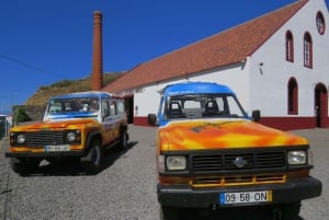 Madeira : Santana & Peaks dagsutflykt med öppen 4x4