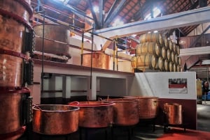 Madeira : Santana & Peaks dagsutflykt med öppen 4x4