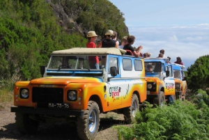 Madeira : Santana & Peaks dagsutflykt med öppen 4x4