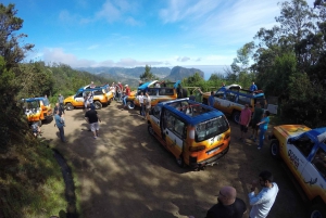 Madeira : Santana & Peaks dagsutflykt med öppen 4x4