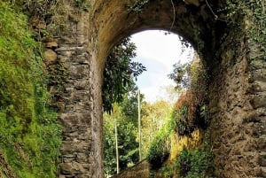 Madeira : Santana & Peaks dagsutflykt med öppen 4x4