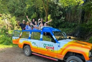 Madeira : Santana & Peaks dagsutflykt med öppen 4x4