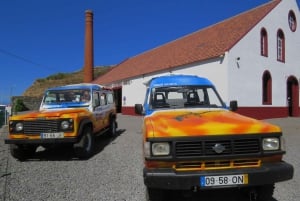 Madeira : Santana & Peaks dagsutflykt med öppen 4x4