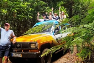 Madeira : Santana & Peaks dagsutflykt med öppen 4x4