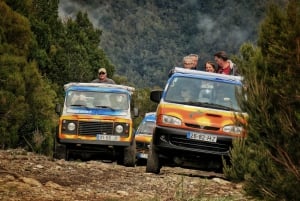 Madeira : Santana & Peaks dagsutflykt med öppen 4x4
