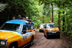 Madeira : Santana & Peaks dagsutflykt med öppen 4x4