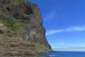 Madeira : Santana & Peaks dagsutflykt med öppen 4x4