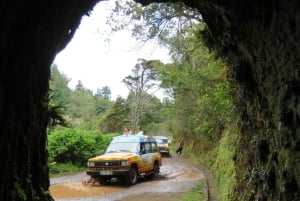 Madeira : Santana & Peaks dagsutflykt med öppen 4x4