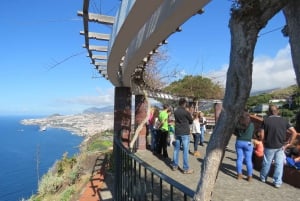 Madeira : Santana & Peaks dagsutflykt med öppen 4x4