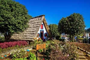 Madeira: Sightseeingtur