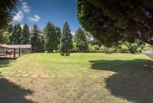 Madeira: Sightseeingtur