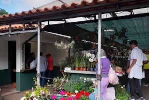 Madeira: Sunday Market in Santo da Serra