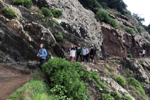 Madeira: Alba al Pico do Arieiro ed escursione sul sentiero Larano