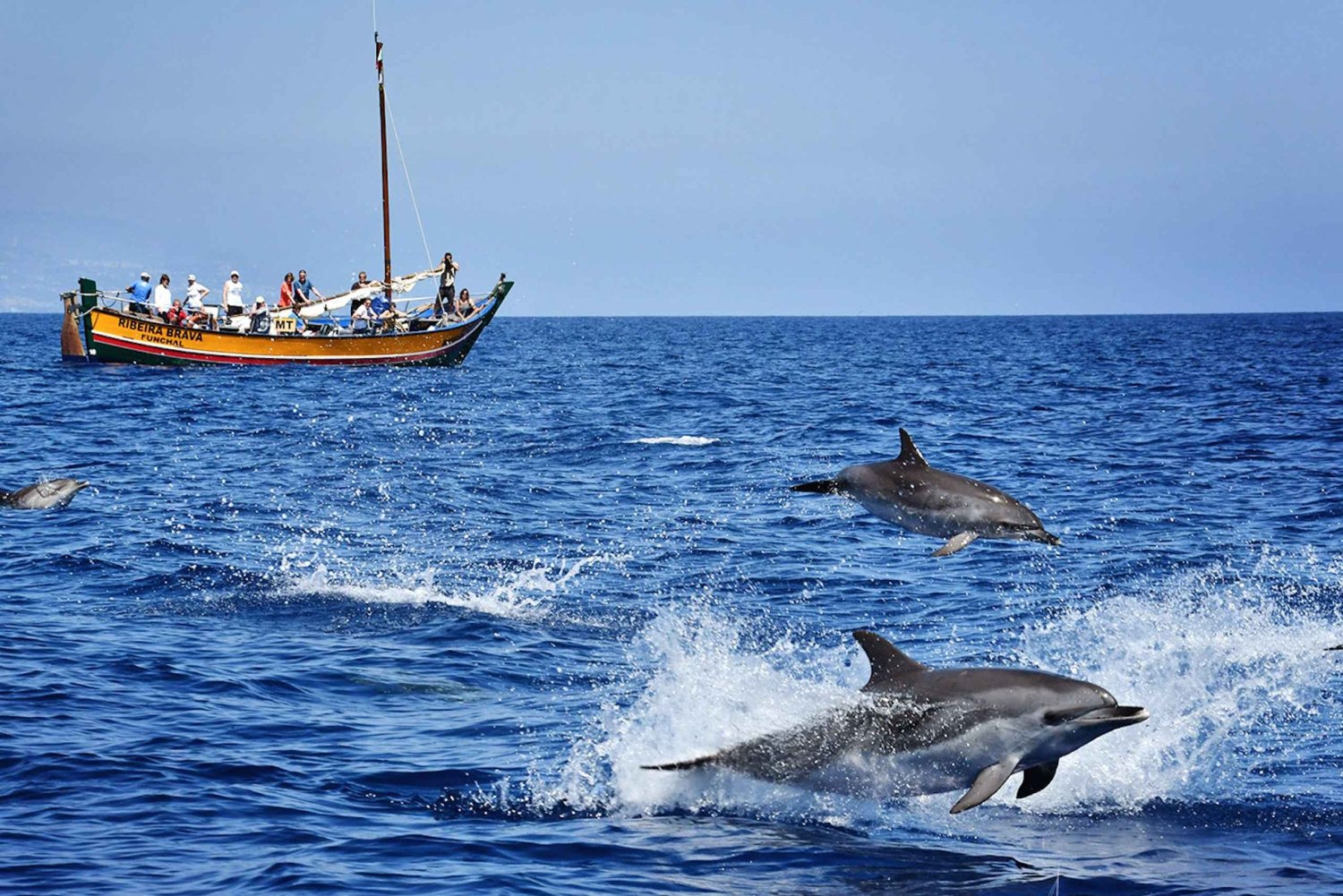 Madeira: Whale Watching Excursion in a Traditional Vessel