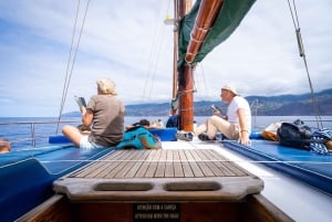Madeira : Whales and Dolphins wooden boat excursion