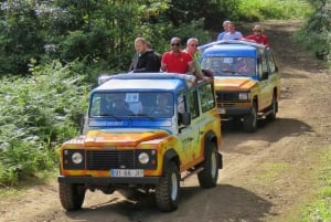 Madeira: Vin & Tapas, Cabo Girão Skywalk 4x4 Jeep Adventure