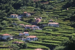 Madeira: Vin & Tapas, Cabo Girão Skywalk 4x4 Jeep Adventure