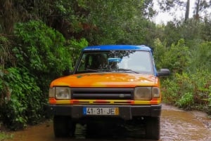 Madeira: Vin & Tapas, Cabo Girão Skywalk 4x4 Jeep Adventure
