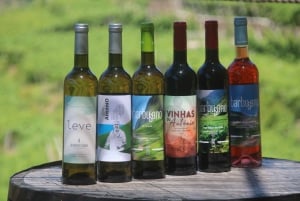 Madeira: Vin & Tapas, Cabo Girão Skywalk 4x4 Jeep Adventure