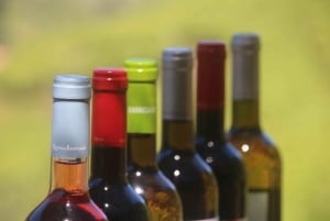 Madeira: Vin & Tapas, Cabo Girão Skywalk 4x4 Jeep Adventure