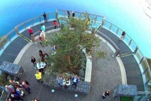 Madera: degustacja wina, Muzeum Miodu i Cabo Girão