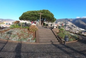 Madera: degustacja wina, Muzeum Miodu i Cabo Girão