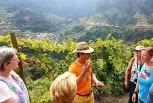Madera: degustacja wina, Muzeum Miodu i Cabo Girão