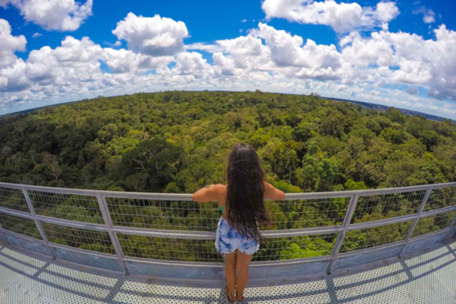 Manaus: MUSA and INPA Museums with Observation Tower Tour