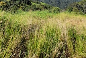 Rocky Mountain Trekking - 12 dages trekking med vild camping.