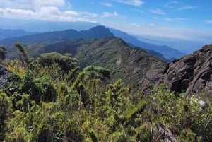 Rocky Mountain Trekking - 12 dages trekking med vild camping.