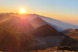 Rocky Mountain Trekking - 12 dages trekking med vild camping.