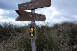 Rocky Mountain Trekking - 12 dages trekking med vild camping.